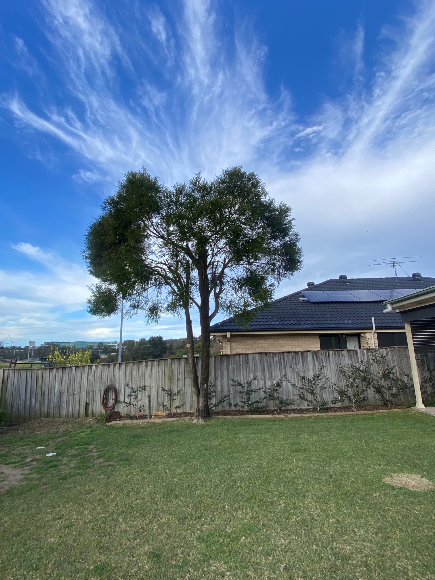 Portfolio image 11 of 68