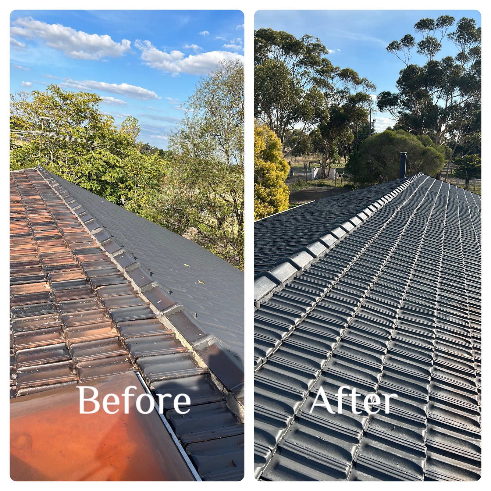 Portfolio image 1 of 5