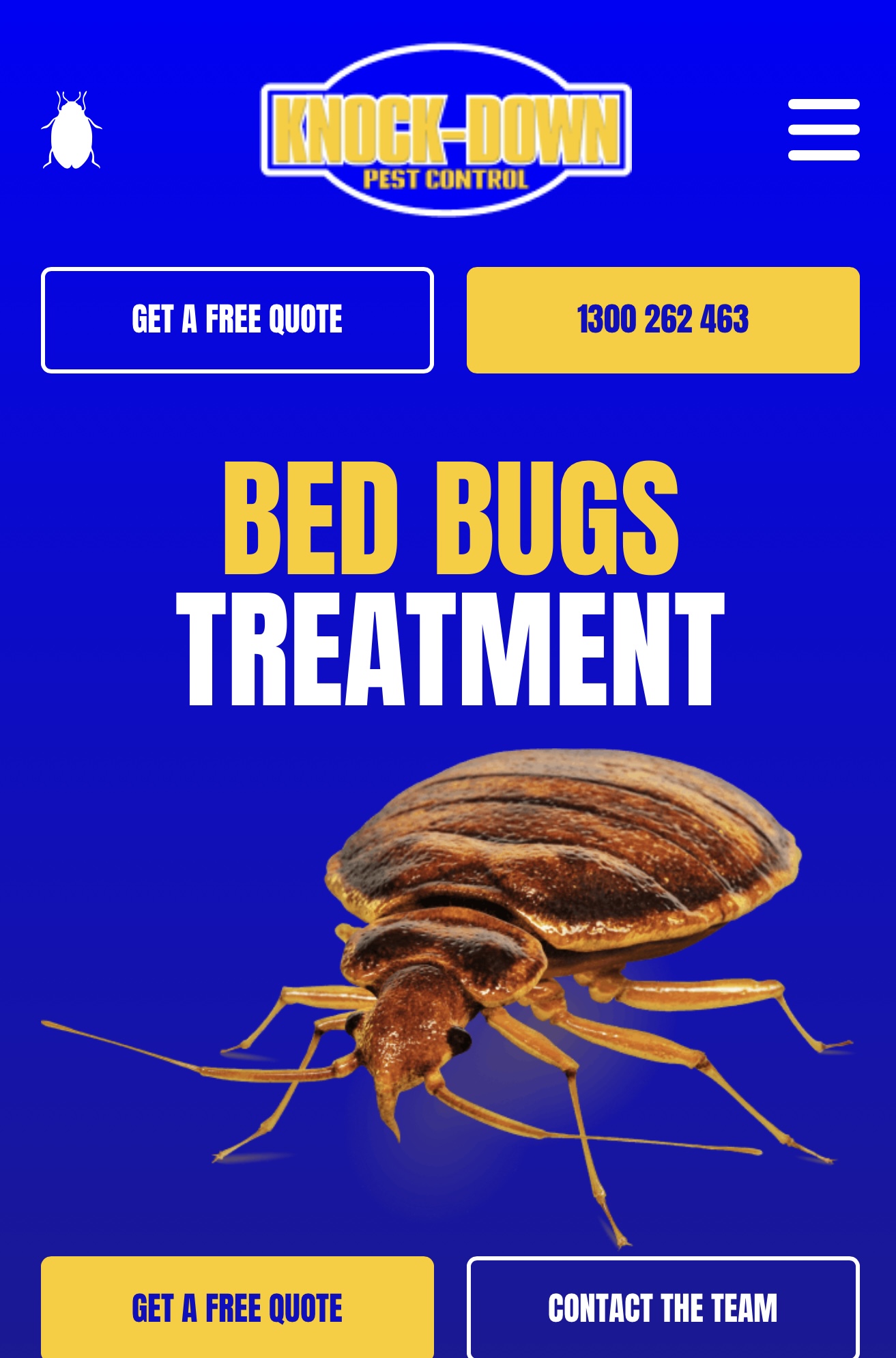 Portfolio image 6 of 6