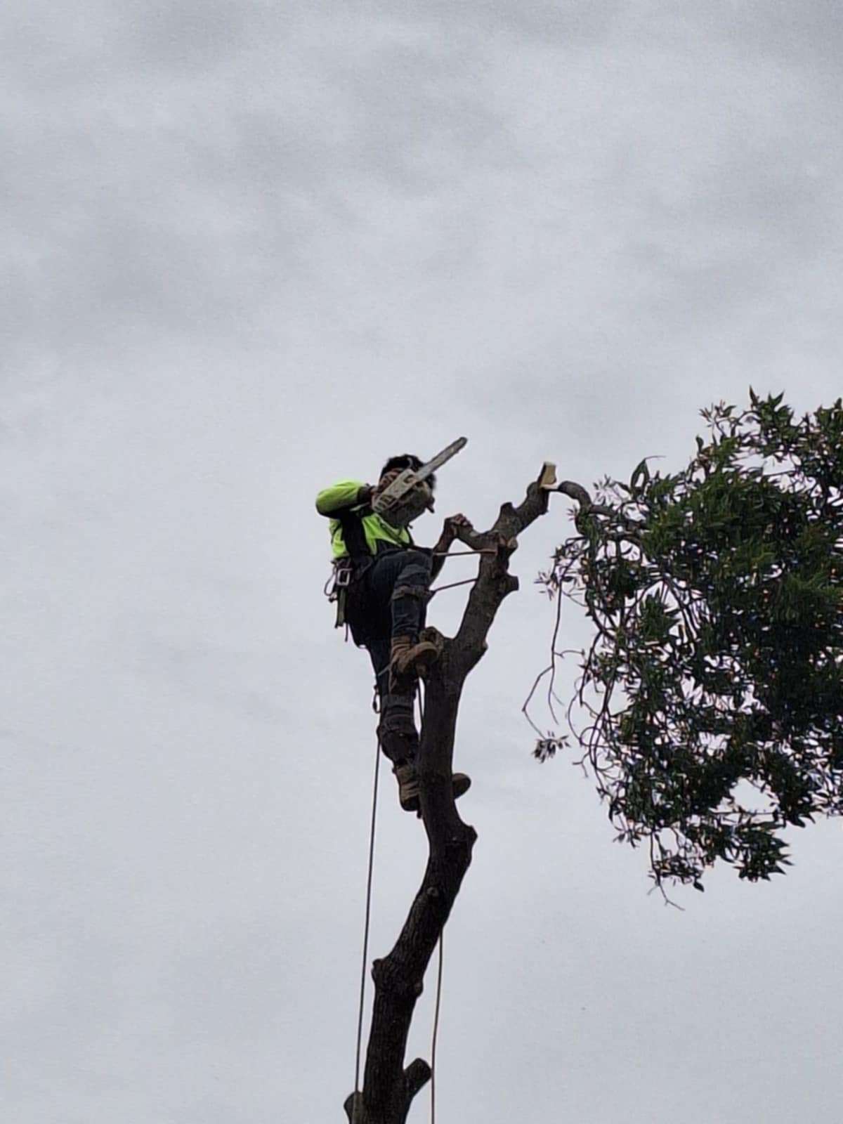 Portfolio image 6 of 28