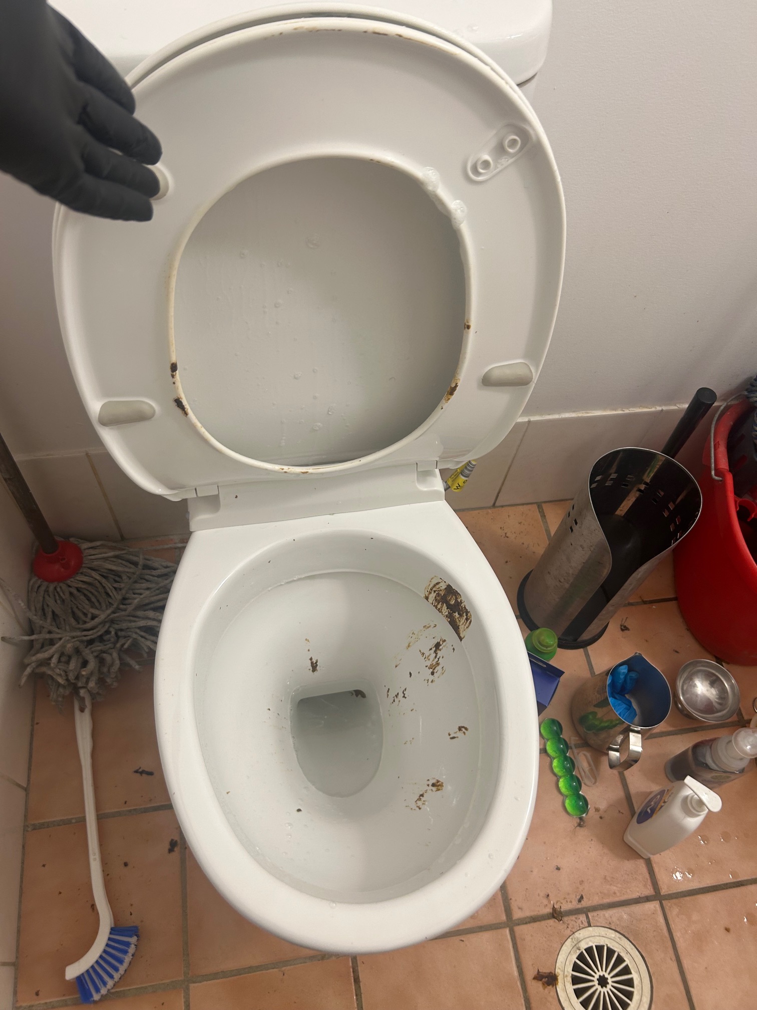 Portfolio image 11 of 12